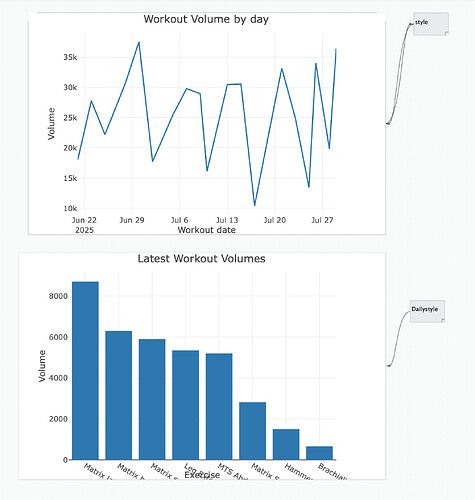 Workout Repcount processing-2.tbx 2025-07-30 10-02-39