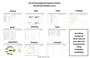 5Cs TBX Comprehensive Tinderbox Views Overview