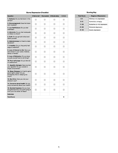 Burns Assessments